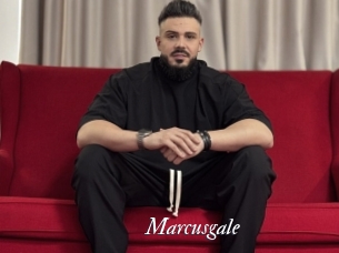 marcusgale Partouze