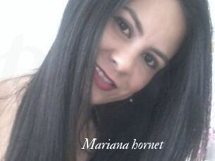Mariana_hornet
