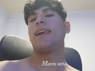 Mario_neta