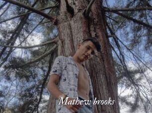 Mathew_brooks