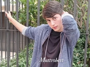 Mattrobert