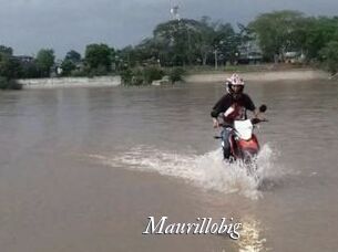 Maurillobig