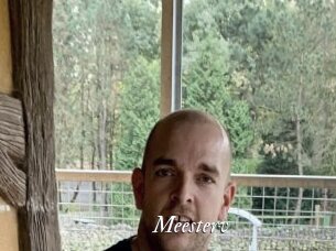 Meesterv