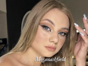 Meganashfield