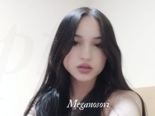 Meganosori