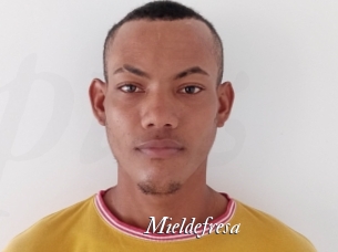 Mieldefresa