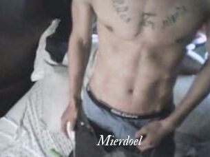Mierdoel