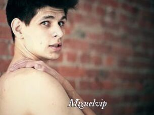 miguelvip Partouze