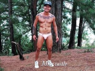 Mike_castle