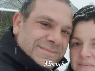 Mimiseb
