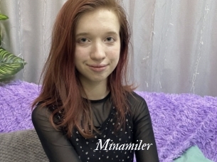 Minamiler