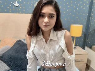 Mini_puca