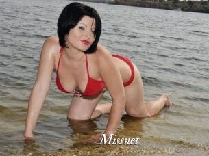 Missnet