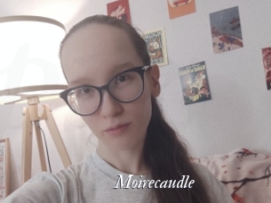Moirecaudle