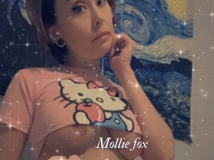 Mollie_fox