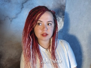 Mollybuls