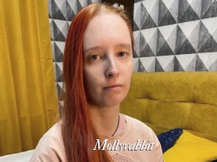 Mollyrabbit
