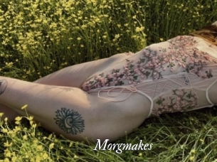 Morgmakes