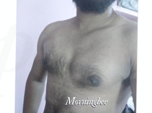 morningbee Partouze