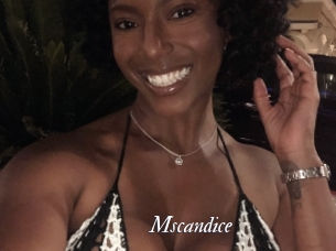 Mscandice