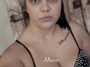 Muisor