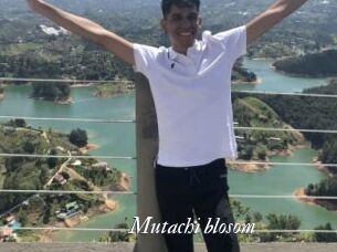 Mutachi_blosom