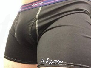 NVguy90