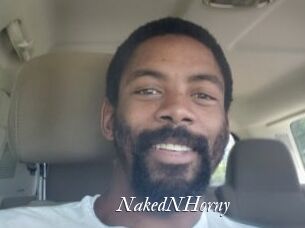 NakedNHorny Partouze