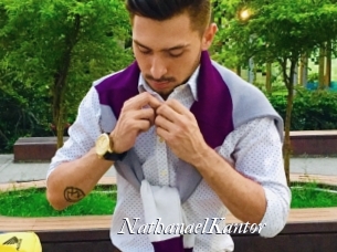 NathanaelKantor Partouze
