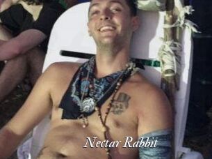 Nectar_Rabbit