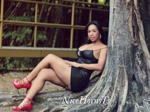 NiceHornyTs