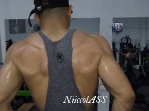 NiiccolASS