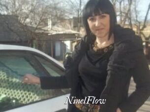 NinelFlow