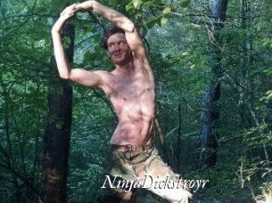 NinjaDickstroyr