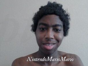 NintendoMarioMario