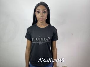 NoaKane18