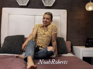 NoahRoberts