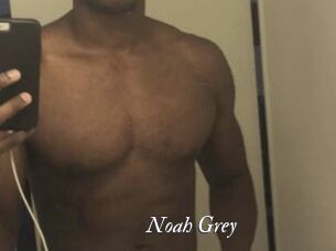 Noah_Grey