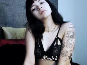 Noah_b