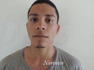 Noren_tor