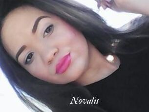 Novalis Partouze