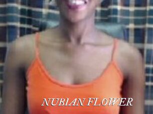 _NUBIAN_FLOWER_
