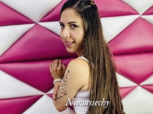 Naomysechy