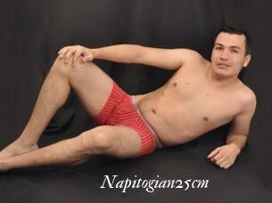 Napitogian25cm