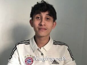 naughtyguy018 Partouze