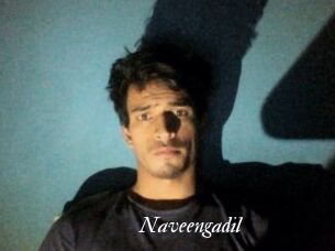 Naveengadil