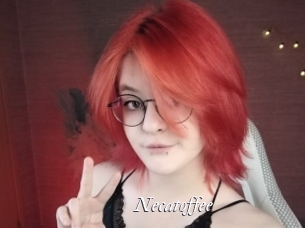 Necatoffee