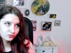 Niaghtaniter