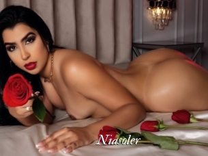 Niasoler