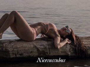 Nicesuccubus